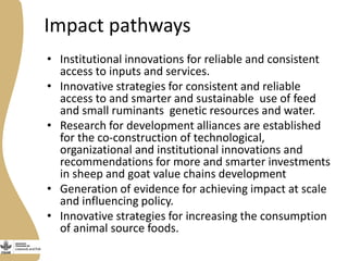 Update on Burkina Faso Small Ruminant Value Chain Development Program 