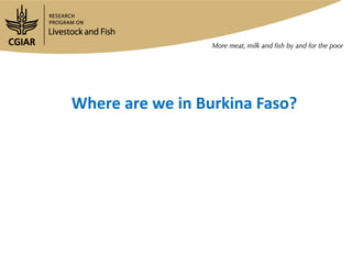 Update on Burkina Faso Small Ruminant Value Chain Development Program 