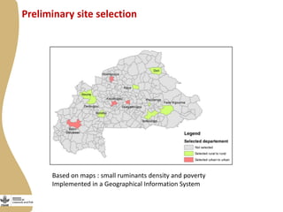 Update on Burkina Faso Small Ruminant Value Chain Development Program 