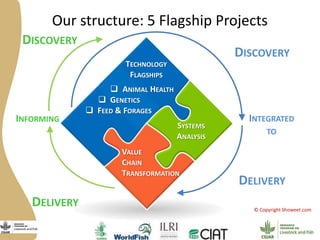 Programme de recherche du CGIAR sur les animaux d’élevage et les poissons : Présentation générale
