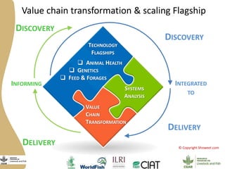 Programme de recherche du CGIAR sur les animaux d’élevage et les poissons : Présentation générale