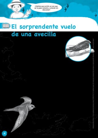 4
El sorprendente vuelo
de una avecilla
¿Sabías que existe un ave que
se la pasa volando y volando sin
descanso?
El vencejo es un ave que pasa casi toda su vida
en los aires. Esta pequeña avecilla, que mide
dieciséis centímetros, come, se reproduce e,
incluso, duerme mientras vuela. ¿Cómo lo hace?
Esta ave siempre está volando, pues sus patas
son tan débiles que no puede sostenerse sobre
ellas en el suelo. Solo detiene su vuelo en algún lugar alto para
poner huevos y criar a sus polluelos.
El vencejo se alimenta de insectos voladores que atrapa con su
pico mientras vuela. También, recoge al vuelo los materiales con
los que construye su nido. Bebe en charcos y lagunas rozando el
agua mientras vuela.
Al atardecer, los vencejos vuelan hasta perderse de vista. Se creía
que volvían después del anochecer para dormir en sus nidos, pero
ahora se sabe que duermen en el aire hasta
la salida del sol. Durante su sueño, el aleteo
normal disminuye de los diez movimientos
por segundo a tan solo siete.
Los vencejos se encuentran en Asia y Europa
y, como pueden alcanzar fácilmente los
noventa kilómetros por hora, son considerados,
actualmente, las aves más rápidas del mundo.
Adaptación:http://www.planetacurioso.com/2008/02/15/sabias-que-el-vencejo-comun-de-europa-y-asia-puede-durar-hasta-3-anos-en-el-aire/
 