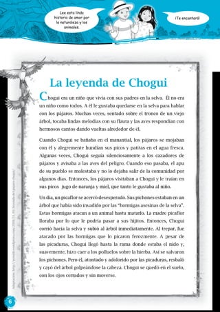 6
¡Te encantará!
Lee esta linda
historia de amor por
la naturaleza y los
animales.
Chogui era un niño que vivía con sus padres en la selva. Él no era
un niño como todos. A él le gustaba quedarse en la selva para hablar
con los pájaros. Muchas veces, sentado sobre el tronco de un viejo
árbol, tocaba lindas melodías con su flauta y las aves respondían con
hermosos cantos dando vueltas alrededor de él.
Cuando Chogui se bañaba en el manantial, los pájaros se mojaban
con él y alegremente hundían sus picos y patitas en el agua fresca.
Algunas veces, Chogui seguía silenciosamente a los cazadores de
pájaros y avisaba a las aves del peligro. Cuando eso pasaba, el apu
de su pueblo se molestaba y no lo dejaba salir de la comunidad por
algunos días. Entonces, los pájaros visitaban a Chogui y le traían en
sus picos jugo de naranja y miel, que tanto le gustaba al niño.
Un día, un picaflor se acercó desesperado. Sus pichones estaban en un
árbol que había sido invadido por las “hormigas asesinas de la selva”.
Estas hormigas atacan a un animal hasta matarlo. La madre picaflor
lloraba por lo que le podría pasar a sus hijitos. Entonces, Chogui
corrió hacia la selva y subió al árbol inmediatamente. Al trepar, fue
atacado por las hormigas que lo picaron ferozmente. A pesar de
las picaduras, Chogui llegó hasta la rama donde estaba el nido y,
suavemente, hizo caer a los polluelos sobre la hierba. Así se salvaron
los pichones. Pero él, atontado y adolorido por las picaduras, resbaló
y cayó del árbol golpeándose la cabeza. Chogui se quedó en el suelo,
con los ojos cerrados y sin moverse.
La leyenda de Chogui
Adaptación:http://yerutib.wordpress.com/2008/11/01/leyenda-del-pajaro-chogui/
 