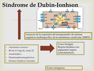 
Síndrome de Dubin-Jonhson
• Autosómico recesivo
• BD de 2-5 mg/dL, hasta 25.
• Asintomático.
• Hepatoesplenomegalia leve.
• Enzimas hepáticas normales.
Curso benigno.
Biopsia hepática con
pigmentos negros
centrolobulares.
Evitar estrógenos.
Ausencia de la expresión del transportador de aniones
orgánicos multiespecifico de la membrana canalicular (MRP2)
 