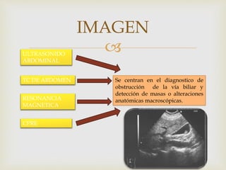 
IMAGEN
ULTRASONIDO
ABDOMINAL
TC DE ABDOMEN
RESONANCIA
MAGNETICA
CPRE
Se centran en el diagnostico de
obstrucción de la vía biliar y
detección de masas o alteraciones
anatómicas macroscópicas.
 