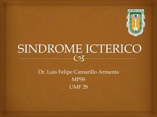 Dr. Luis Felipe Camarillo Armenta
MPSS
UMF 28
 