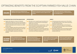 ISSUES
OPTIMIZING BENEFITS FROM THE EGYPTIAN FARMED FISH VALUE CHAIN
A value chain approach is helping research
and development partners overcome barriers
to sustainable growth.
Egyptian aquaculture is booming, yet greater fish
quality and effective industry support are still
needed.
Egyptians need secure employment and
affordable food supplies to thrive and prosper.
ACTIONS
NEEDED
Egyptian Nile tilapia has a history of cultivation
stretching back 4,000 years to the time of the Pharaohs.
Domestic aquaculture provides almost 65% of Egypt’s
total fish consumption and is its lowest cost animal
protein source.
Increases in Egyptian aquaculture production place it
as one of the top10 aquaculture producers in the world.
Over 100,000 people (around 50% youth) are
employed in Egyptian aquaculture and related
activities.
More jobs can be created through intensification of
production on existing fish farms and developing
added value processing.
Aquaculture production has reached almost 1 million
tonnes annually, yet underexploited markets and
opportunities to replace imports remain.
Value chain efficiency can be achieved by improving
fish quality, management practices, standards, policy
environment and industry organization.
Increasing aquaculture production by 10% will lead
to 10,000 additional jobs in areas with few alternative
employment opportunities.
Support for women fish traders and development
of pro-poor aquaculture will help to secure livelihoods
for vulnerable households.
Aquaculture will play an even more important strategic
role, providing domestically produced, affordable a
nutritious food for all.
THE IMPORTANT ROLE OF EGYPTIAN AQUACULTURE OPPORTUNITIES IMPACT
Best management practice
training for fish farmers and others
involved in the aquaculture value
chain.
Develop improved policy
environment that recognizes the
importance of aquaculture as a
strategic food production sector.
Improve quality standards to enable
greater market access and additional
opportunities for added value
processing.
Identify and exploit opportunities
for poor people to benefit from
growth of this dynamic sector.
www.worldfishcenter.org
Poster: 2013-25
© 2013. WorldFish. All rights reserved. This publication may be reproduced without the permission of, but with acknowledgment to, WorldFish.
 
