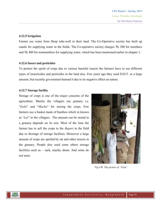 LFE Report - Spring, 2013
Venue: Proshika, Manikganj
By Md.Matiur Rahman
I n d e p e n d e n t U n i v e r s i t y , B a n g l a d e s h Page 54
4.12.5 Irrigation
Farmer use water from Deep tube-well in their land. The Co-Operative society has built up
canals for supplying water in the fields. The Co-operative society charges Tk 300 for members
and Tk 400 for nonmembers for supplying water, which has been mentioned earlier in chapter 1.
4.12.6 Insect and pesticides
To protect the spoilt of crops due to various harmful insects the farmers have to use different
types of insecticides and pesticides in the land also. Few years ago they used D.D.T. at a large
amount, but recently government banned it due to its negative effect on nature.
4.12.7 Storage facility
Storage of crops is one of the major concerns of the
agriculture. Mainly the villagers use granary i.e.
“Gola” and “Macha” for storing the crops. Few
farmers use a basket made of bamboo which in known
as “Lai” to the villagers. The amount can be stored in
a granary depends on its size. Most of the time the
farmer has to sell the crops to the Bepari in the field
due to shortage of storage facilities. Moreover a large
amount of crops are spoiled by rat and other insects in
the granary. People also used some others storage
facilities such as – sack, macha, drum. And some do
not store.
Fig 4.8: The picture of “Gola”
 