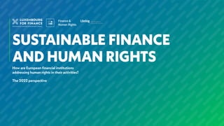 SUSTAINABLE FINANCE AND HUMAN RIGHTS 1
 
