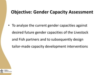 Gender capacity for the small ruminant value chain in Ethiopia: Current status and ways forward