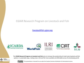 Gender capacity for the small ruminant value chain in Ethiopia: Current status and ways forward