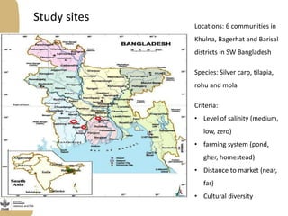 GTA tools for value chain assessment: Experiences from testing the toolkit in the Bangladesh fish value chain