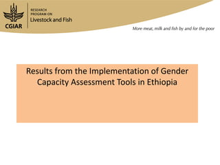 Gender capacity assessment and development in agricultural programs