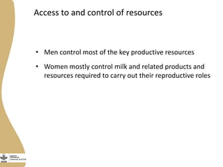 Gendered characteristics of the small ruminant value chain intervention sites in Ethiopian