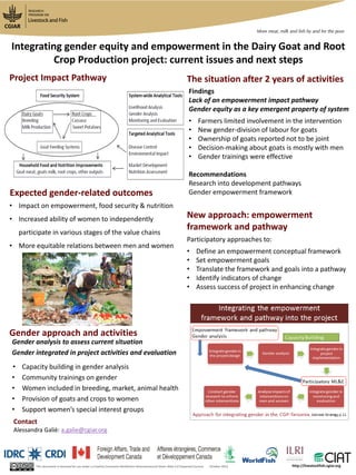 Expected gender-related outcomes
Gender approach and activities
Project Impact Pathway
This document is licensed for use under a Creative Commons Attribution-Noncommercial-Share Alike 3.0 Unported Licence October 2013 http://livestockfish.cgiar.org
Integrating gender equity and empowerment in the Dairy Goat and Root
Crop Production project: current issues and next steps
• Impact on empowerment, food security & nutrition
• Increased ability of women to independently
participate in various stages of the value chains
• More equitable relations between men and women
Gender analysis to assess current situation
Gender integrated in project activities and evaluation
• Capacity building in gender analysis
• Community trainings on gender
• Women included in breeding, market, animal health
• Provision of goats and crops to women
• Support women’s special interest groups
Findings
Lack of an empowerment impact pathway
Gender equity as a key emergent property of system
• Farmers limited involvement in the intervention
• New gender-division of labour for goats
• Ownership of goats reported not to be joint
• Decision-making about goats is mostly with men
• Gender trainings were effective
Recommendations
Research into development pathways
Gender empowerment framework
The situation after 2 years of activities
Participatory approaches to:
• Define an empowerment conceptual framework
• Set empowerment goals
• Translate the framework and goals into a pathway
• Identify indicators of change
• Assess success of project in enhancing change
New approach: empowerment
framework and pathway
Contact
Alessandra Galiè: a.galie@cgiar.org
 