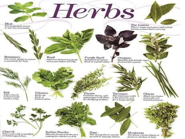 Lf herbs on {keyword}