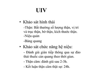 UIV
• Khảo sát hình thái
-Thận: Bất thường số lượng thận, vị trí
và trục thận, bờ thận, kích thước thận.
-Niệu quản
-Bàng quang
• Khảo sát chức năng hệ niệu:
- Đánh giá gián tiếp thông qua sự đào
thải thuốc cản quang theo thời gian.
- Thận câm: đánh giá sau 2-3h.
- Kết luận thận câm thật sự: 24h.
 