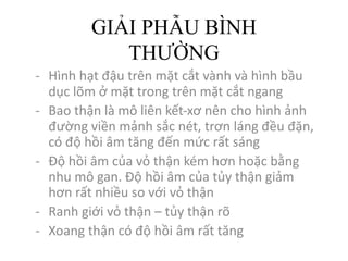 GIẢI PHẪU BÌNH
THƯỜNG
- Hình hạt đậu trên mặt cắt vành và hình bầu
dục lõm ở	mặt trong trên mặt cắt ngang
- Bao thận là mô liên kết-xơ nên cho hình ảnh
đường viền mảnh sắc nét,	trơn láng đều đặn,	
có độ hồi âm tăng đến mức rất sáng
- Độ hồi âm của vỏ thận kém hơn hoặc bằng
nhu mô gan.	Độ hồi âm của tủy thận giảm
hơn rất nhiều so	với vỏ thận
- Ranh giới vỏ thận – tủy thận rõ
- Xoang thận có độ hồi âm rất tăng
 