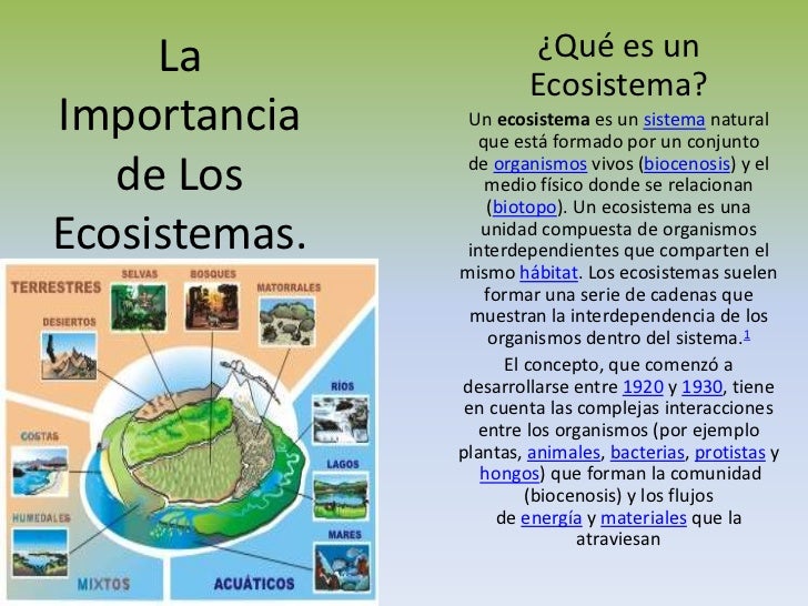 La Importancia de Los Ecosistemas