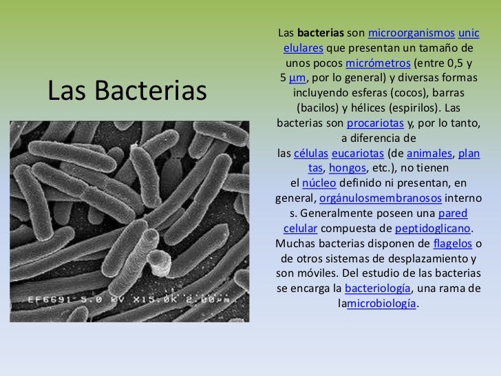 La Importancia de Los Ecosistemas