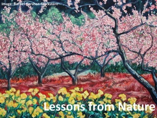 Image:	
  Rafael	
  Gershon	
  Glückstern	
  	
  

Lessons	
  from	
  Nature	
  

 