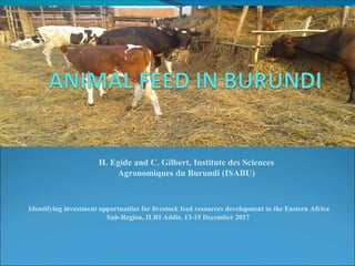 Animal feed in Burundi