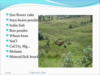 Animal feed in Burundi