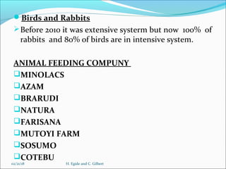 Animal feed in Burundi