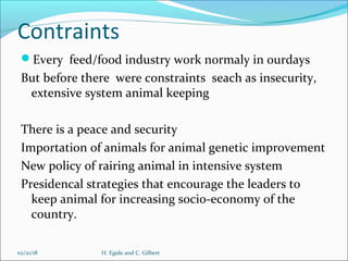 Animal feed in Burundi