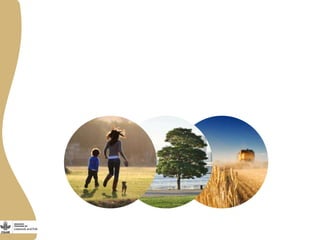 The new role of Wageningen UR in the CGIAR Livestock and Fish Research Program 