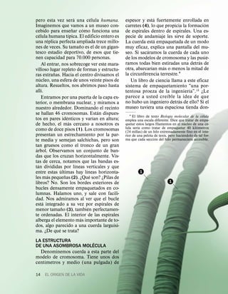 ´               ´                         ´
pero esta vez sera una celula humana.                        espesor y esta fuertemente enrollada en
                                                                                                      ´
Imaginemos que vamos a un museo con-                         carretes (4), lo que propicia la formacion
                                 ˜         ´
cebido para ensenar como funciona una                        de espirales dentro de espirales. Una es-
     ´                       ´
celula humana tıpica. El edificio entero es                  pecie de andamiaje les sirve de soporte.
             ´                                                                 ´
una replica perfecta ampliada trece millo-                   La cuerda esta empaquetada de un modo
                                       ˜
nes de veces. Su tamano es el de un gigan-                   muy eficaz, explica una pantalla del mu-
tesco estadio deportivo, de esos que tie-                                ´
                                                             seo. Si sacaramos la cuerda de cada uno
nen capacidad para 70.000 personas.                                                                     ´
                                                             de los modelos de cromosoma y las pusie-
                                                                                                   ´
         Al entrar, nos sobrecoge ver este mara-             ramos todas bien estiradas una detras de
                                                                           ´     ´
villoso lugar repleto de formas y estructu-                  otra, abarcarıan mas o menos la mitad de
                ˜                                            la circunferencia terrestre.1
ras extranas. Hacia el centro divisamos el
       ´
nucleo, una esfera de unos veinte pisos de                      Un libro de ciencia llama a este eficaz
altura. Resueltos, nos abrimos paso hasta                    sistema de empaquetamiento “una por-
         ´                                                                                     ´
allı.                                                        tentosa proeza de la ingenierıa”.18 ¿Le
                                                                                   ´
         Entramos por una puerta de la capa ex-              parece a usted cre ıble la idea de que
                                                                                         ´
terior, o membrana nuclear, y miramos a                      no hubo un ingeniero detras de ello? Si el
nuestro alrededor. Dominando el recinto                      museo tuviera una espaciosa tienda don-
                                                       ´
se hallan 46 cromosomas. Estan dispues-                                                    ´                     ´
                           ´                         ´          1 El libro de texto Biologıa molecular de la celula
tos en pares identicos y varıan en altura;                   emplea una escala diferente. Dice que´ tratar de empa-
                               ´                                                                                    ´
de hecho, el mas cercano a nosotros es                       quetar estos largos filamentos en el nucleo de ´ una ce-
                                                                      ´
como de doce pisos (1). Los cromosomas                       lula serıa como tratar de empaquetar 40 kilometros
                                                             (24 millas) de un hilo extremadamente fino en el inte-
presentan un estrechamiento por la par-                                                             ´
                                                             rior de una pelota de tenis, pero haciendolo de tal for-
                                                                                 ´
te media y semejan salchichas, pero son                      ma que cada seccion del hilo permaneciera accesible.
tan gruesos como el tronco de un gran
 ´
arbol. Observamos un conjunto de ban-
das que los cruzan horizontalmente. Vis-
tas de cerca, notamos que las bandas es-
   ´                                 ´
tan divididas por lıneas verticales y que
                     ´                       ´
entre estas ultimas hay lıneas horizonta-                             1
             ´           ˜                       ´
les mas pequenas (2). ¿Que son? ¿Pilas de
libros? No. Son los bordes exteriores de                                                  1
bucles densamente empaquetados en co-
lumnas. Halamos uno, y sale con facili-
dad. Nos admiramos al ver que el bucle
           ´
esta integrado a su vez por espirales de
                       ˜                       ´
menor tamano (3), tambien perfectamen-
te ordenadas. El interior de las espirales
                                         ´
alberga el elemento mas importante de to-
                                                         ´
dos, algo parecido a una cuerda larguısi-
                   ´
ma. ¿De que se trata?
LA ESTRUCTURA            ´
DE UNA ASOMBROSA MOLECULA
  Denominemos cuerda a esta parte del
modelo de cromosoma. Tiene unos dos
    ´
centımetros y medio (una pulgada) de

14    EL ORIGEN DE LA VIDA
 