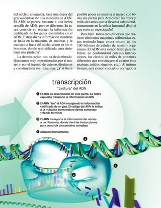 ´
del nucleo; enseguida, hace una copia del          posible poner en marcha el museo con to-
         ´                  ´
gen valiendose de una molecula de ARN.             das sus piezas para demostrar las miles y
El ARN se parece bastante a una hebra              miles de tareas que se llevan a cabo simul-
                                                     ´                        ´              ´
sencilla de ADN, pero es diferente. Su ta-         taneamente en la celula humana? ¡Eso sı
                                         ´                 ´                ´
rea consiste en recoger la informacion             que serıa un espectaculo!
codificada de los genes contenidos en el               Pues bien, todos esos procesos que rea-
                               ´                                          ´
ADN. Extrae dicha informacion mientras             lizan diminutas maquinas sofisticadas es-
                  ´                                  ´
se halla en la maquina de enzimas y la             tan teniendo lugar ahora mismo en los
                       ´                                                ´
transporta fuera del nucleo a uno de los ri-       100 billones de celulas de nuestro orga-
                     ´                                                          ´  ´
bosomas, donde sera utilizada para sinte-          nismo. El ADN esta siendo leıdo para fa-
                ´
tizar una proteına”.                               bricar, en conformidad con sus instruc-
                  ´                                                                        ´
   La demostracion nos ha deslumbrado.             ciones, los cientos de miles de proteınas
Quedamos muy impresionados por el mu-              diferentes que constituyen el cuerpo (sus
                                     ˜                                ´
seo y por el ingenio de quienes disenaron          enzimas, tejidos, organos, etc.). Al mismo
                         ´                                      ´
y construyeron sus maquinas. ¿Y si fuera           tiempo, esta siendo copiado y corregido a

                                        ´
                            transcripcion
                                “Lectura” del ADN
                – El ADN es desenrollado en este punto. La hebra
                                                  ´
                   expuesta transmite la informacion al ARN
                                                                 ´
                — El ARN “lee” el ADN recogiendo la informacion
                                           ´
                   codificada de un gen. El codigo del ADN le indica
                           ´                     ´
                   a la´ maquina transcriptora donde comenzar
                   y donde terminar
                                                     ´       ´
                ˜ El ARN transporta la informacion del nucleo
                                            ´
                   a un ribosoma, donde dara las instrucciones
                                            ´
                   para construir una proteına compleja
                      ´
                ™ Maquina transcriptora
                                                         1




                                                                              4

                                               2




                                                                                           19
 
