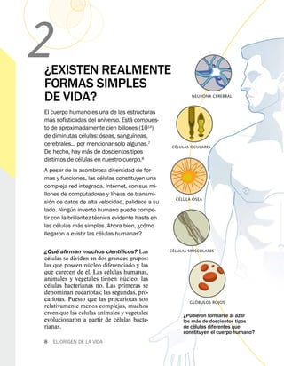 2
¿EXISTEN REALMENTE
FORMAS SIMPLES
DE VIDA?                                                   NEURONA CEREBRAL


El cuerpo humano es una de las estructuras
   ´                               ´
mas sofisticadas del universo. Esta compues-
to de aproximadamente cien billones (1014)
                 ´     ´             ´
de diminutas celulas: oseas, sanguıneas,
cerebrales... por mencionar solo algunas.7           ´
                   ´                               CELULAS OCULARES
De hecho, hay mas de doscientos tipos
               ´
distintos de celulas en nuestro cuerpo.8
A pesar de la asombrosa diversidad de for-
                            ´
mas y funciones, las celulas constituyen una
compleja red integrada. Internet, con sus mi-
                              ´
llones de computadoras y lıneas de transmi-           ´    ´
   ´                                                CELULA OSEA
sion de datos de alta velocidad, palidece a su
            ´
lado. Ningun invento humano puede compe-
                        ´
tir con la brillantez tecnica evidente hasta en
      ´          ´                        ´
las celulas mas simples. Ahora bien, ¿como
                          ´
llegaron a existir las celulas humanas?

    ´                     ´                         ´
¿Que afirman muchos cientıficos? Las              CELULAS MUSCULARES
  ´
celulas se dividen en dos grandes grupos:
                    ´
las que poseen nucleo diferenciado y las
                  ´       ´
que carecen de el. Las celulas humanas,
                                ´
animales y vegetales tienen nucleo; las
  ´
celulas bacterianas no. Las primeras se
denominan eucariotas; las segundas, pro-
cariotas. Puesto que las procariotas son                    ´
                                                          GLOBULOS ROJOS
relativamente menos complejas, muchos
                ´
creen que las celulas animales y vegetales             ¿Pudieron formarse al azar
                              ´                               ´
evolucionaron a partir de celulas bacte-               los mas de doscientos tipos
                                                            ´
rianas.                                                de celulas diferentes que
                                                       constituyen el cuerpo humano?
8   EL ORIGEN DE LA VIDA
 