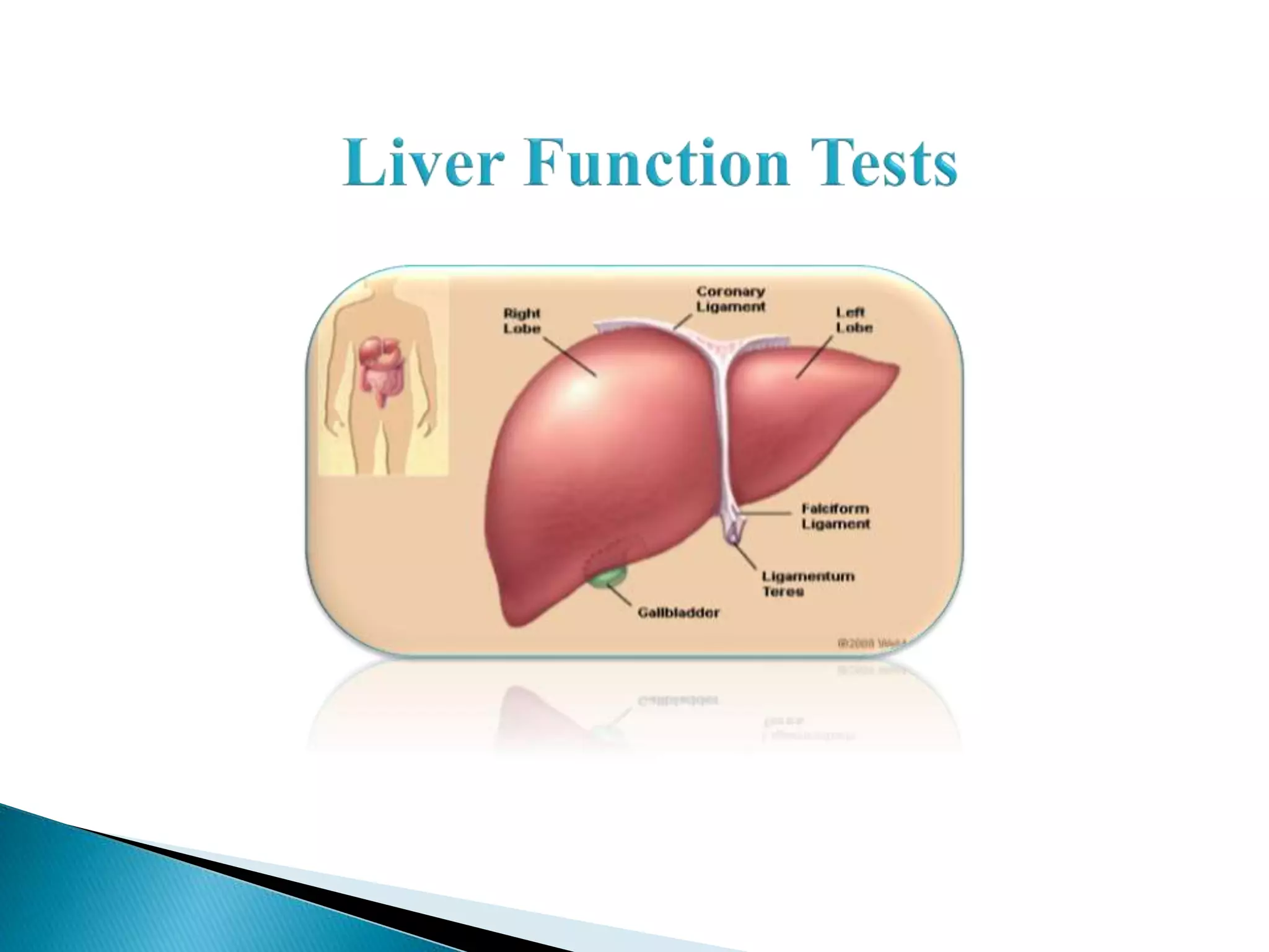 liver function test | PPTX