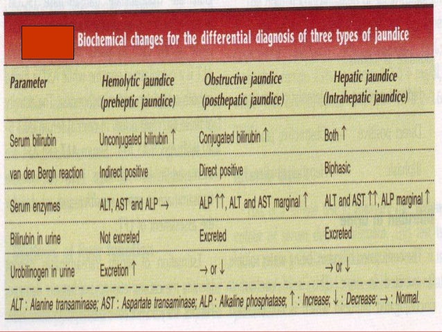 hepatitis paracetamol c Function Liver Test