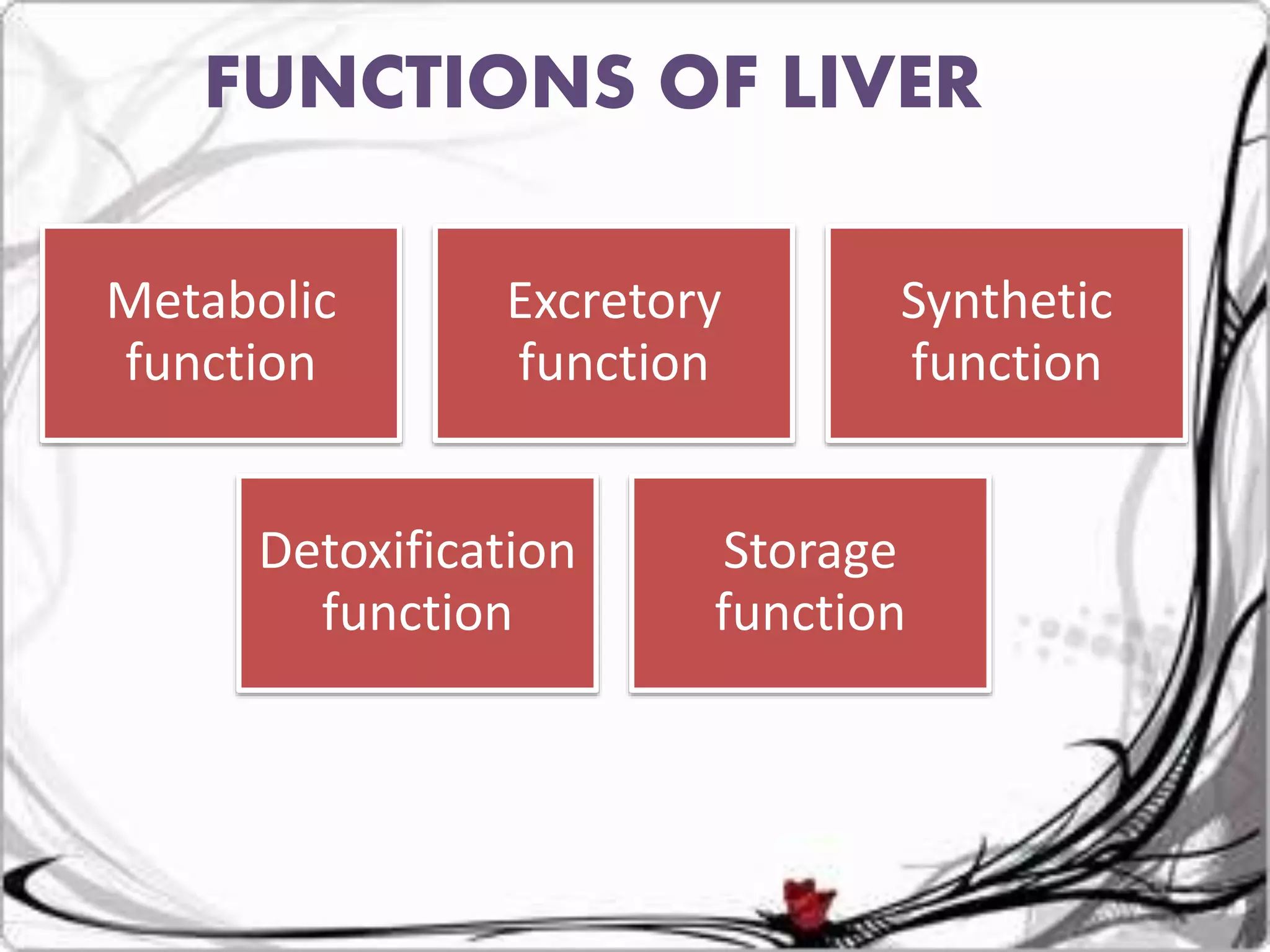 Metabolic
function
Excretory
function
Synthetic
function
Detoxification
function
Storage
function
FUNCTIONS OF LIVER
 