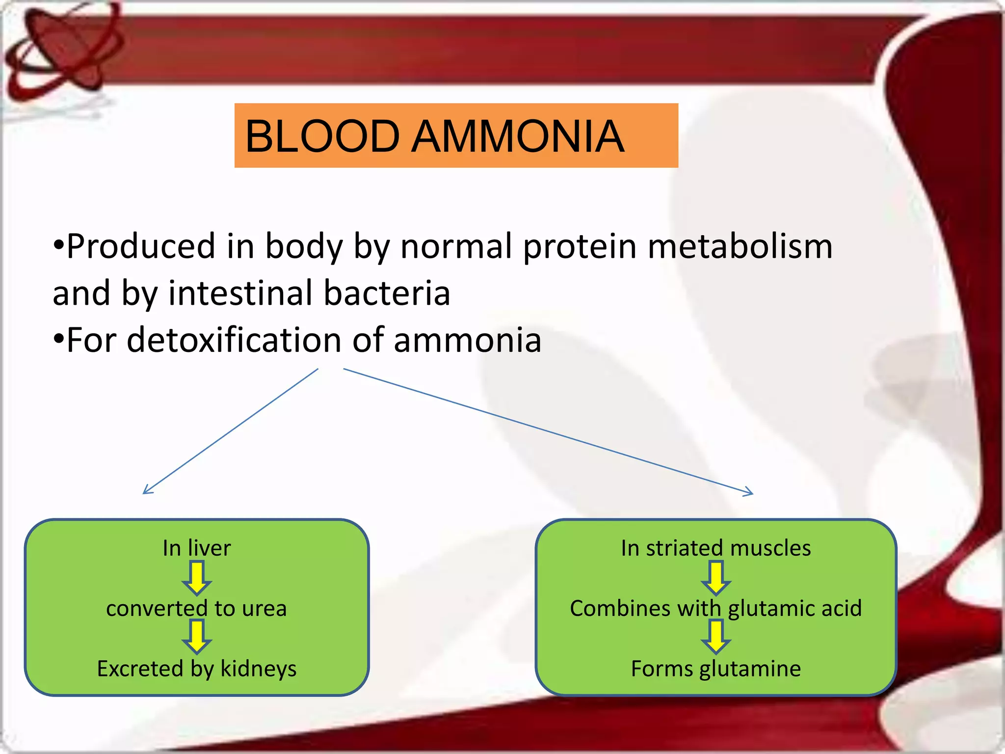 BLOOD AMMONIA
•Produced in body by normal protein metabolism
and by intestinal bacteria
•For detoxification of ammonia
In liver
converted to urea
Excreted by kidneys
In striated muscles
Combines with glutamic acid
Forms glutamine
 