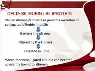 DELTA BILIRUBIN / BILIPROTEIN
•When diseases/cholestasis prevents excretion of
conjugated bilirubin into bile
it enters the plasma
Filtered by the kidneys
Excreted in urine
•Some monoconjugated bilrubin can become
covalently bound to albumin
 