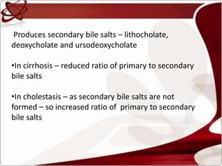 Produces secondary bile salts – lithocholate,
deoxycholate and ursodeoxycholate
•In cirrhosis – reduced ratio of primary to secondary
bile salts
•In cholestasis – as secondary bile salts are not
formed – so increased ratio of primary to secondary
bile salts
 