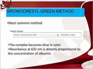 BROMOCRESYL GREEN METHOD
•Most common method
•The complex becomes blue in color
•Absorbance at 632 nm is directly proportional to
the concentration of albumin
 