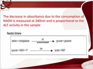 The decrease in absorbance due to the consumption of
NADH is measured at 340nm and is proportional to the
ALT activity in the sample
 