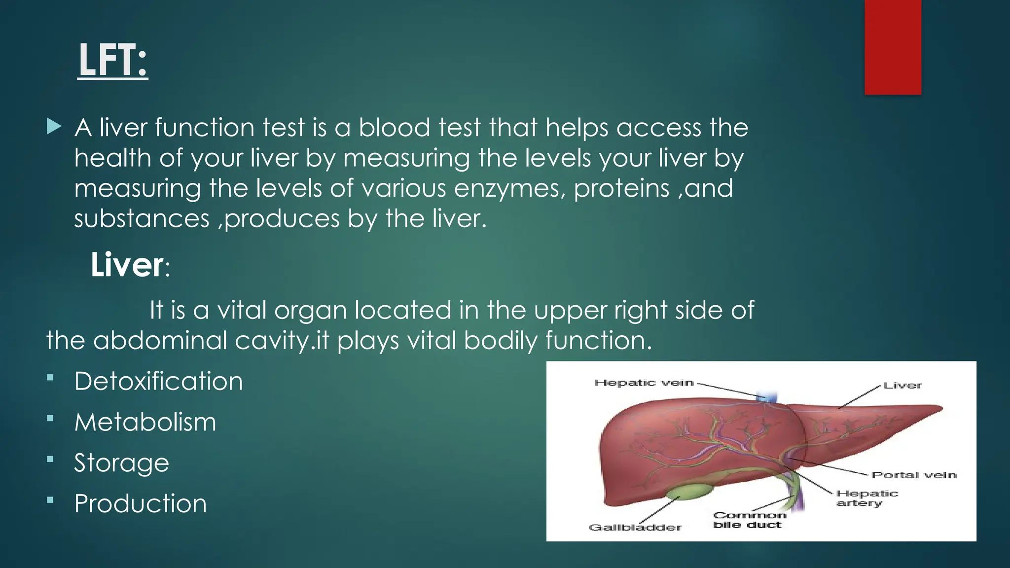 LFT:
 A liver function test is a blood test that helps access the
health of your liver by measuring the levels your liver by
measuring the levels of various enzymes, proteins ,and
substances ,produces by the liver.
Liver:
It is a vital organ located in the upper right side of
the abdominal cavity.it plays vital bodily function.
 Detoxification
 Metabolism
 Storage
 Production
 