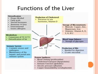 Lft f lect | PPT