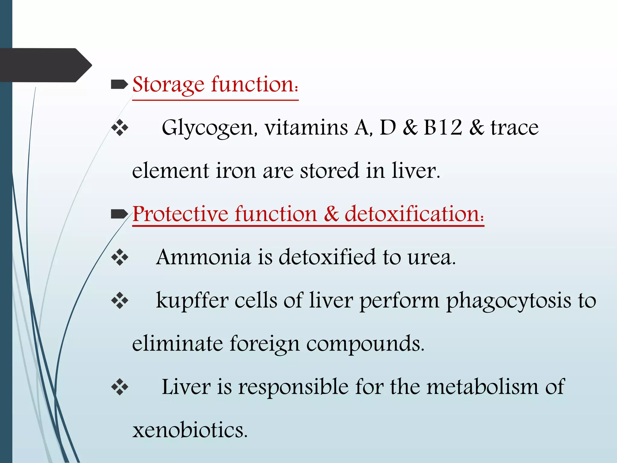 Storage function:
 Glycogen, vitamins A, D & B12 & trace
element iron are stored in liver.
Protective function & detoxification:
 Ammonia is detoxified to urea.
 kupffer cells of liver perform phagocytosis to
eliminate foreign compounds.
 Liver is responsible for the metabolism of
xenobiotics.
 