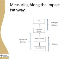 Livestock and Fish theory of change approach