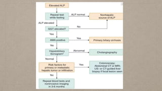 lft ppt and parameters of lft with fate of bilirubin.pptx