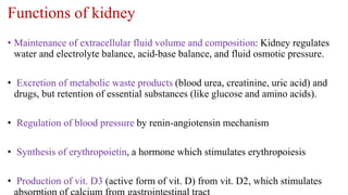 Functions of kidney
• Maintenance of extracellular fluid volume and composition: Kidney regulates
water and electrolyte balance, acid-base balance, and fluid osmotic pressure.
• Excretion of metabolic waste products (blood urea, creatinine, uric acid) and
drugs, but retention of essential substances (like glucose and amino acids).
• Regulation of blood pressure by renin-angiotensin mechanism
• Synthesis of erythropoietin, a hormone which stimulates erythropoiesis
• Production of vit. D3 (active form of vit. D) from vit. D2, which stimulates
 