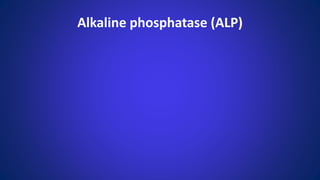 Alkaline phosphatase (ALP)
 
