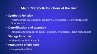 Major Metabolic Functions of the Liver
• Synthetic Function
– Plasma proteins (albumin, globulins), cholesterol, triglycerides and
lipoproteins
• Detoxification and excretion
– Ammonia to urea (urea cycle), bilirubin, cholesterol, drug metabolites
• Storage Function
– Vitamins A, D, E, K and B12
• Production of bile salts
– Helps in digestion
 