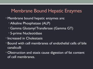 Membrane Bound Hepatic Enzymes
• Membrane bound hepatic enzymes are:
• Alkaline Phosphatase (ALP)
• Gamma GlutamylTransferase (Gamma GT)
• 5-prime Nucleotidase
• Increased in Cholestasis
• Bound with cell membranes of endothelial cells of bile
canaliculli
• Obstruction and stasis cause digestion of fat content
of cell membranes.
 